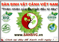 Sàn Sinh Vật Cảnh